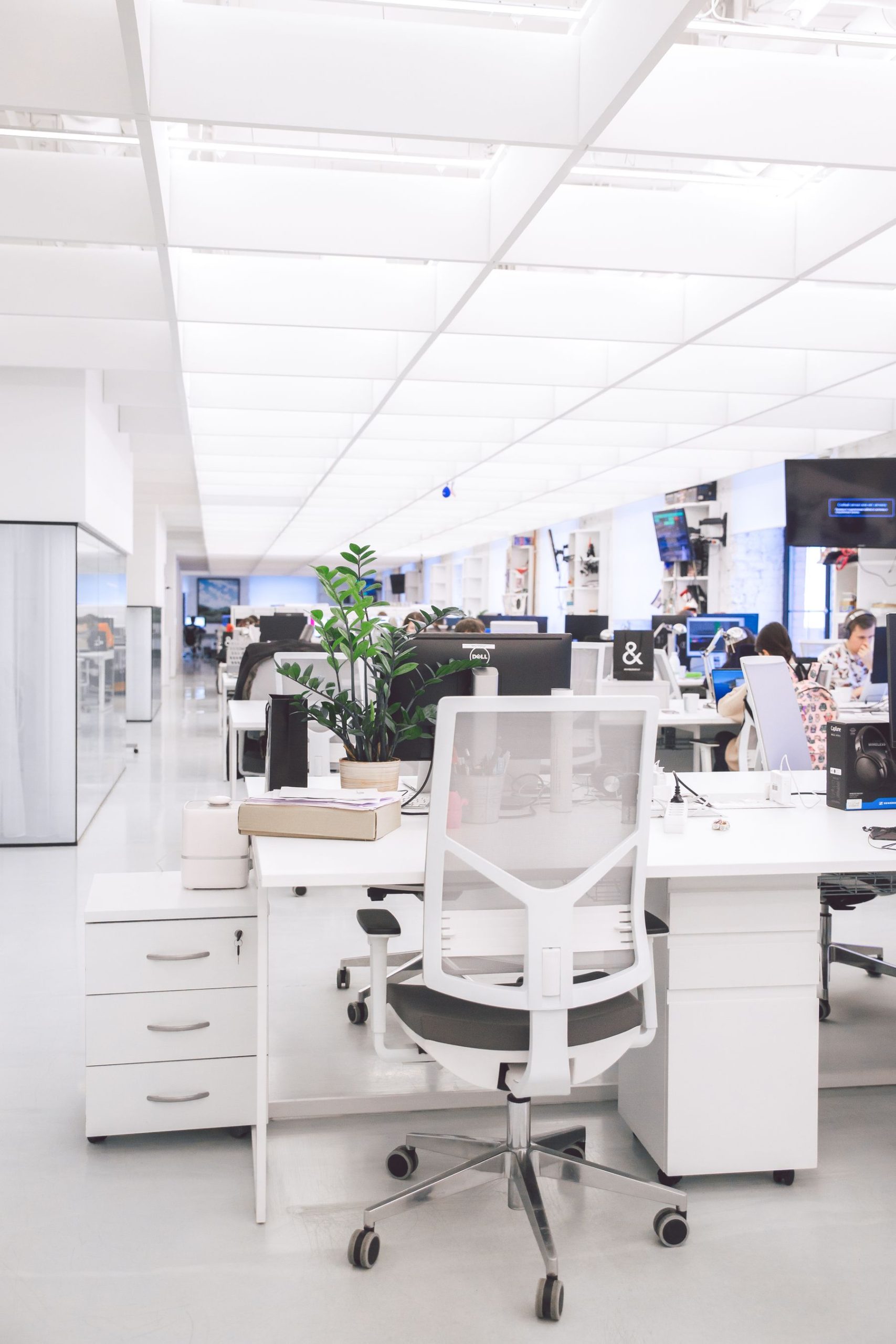 Bright open-plan office